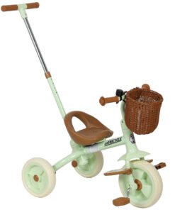 AIYAPLAY 2-In-1 Toddler Trike for 2-5 Years Old, 3 Wheel Bike with Adjustable Parent Handle, Basket for Boys and Girls, Green