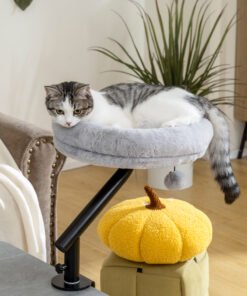Pet Supplies
