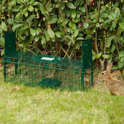 Outsunny Humane Rat Trap, Squirrel Trap with Double Doors, Live Cage Mousetrap for Indoors & Outdoors, Catch and Release Mice, Rats, Rodents, 60 x 18 x 20 cm, Green