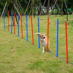 PawHut Dog Agility Training Equipment Dog Play Run Obedience Training Set Adjustable (Poles)