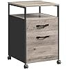 Mobile Office File Cabinet
