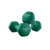 Set of 2 Dumbbells Weights