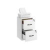 File Cabinet Filing Cabinet for Home Office with 2 Lockable Drawers Cloud White