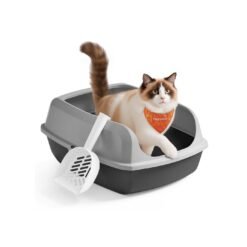 High sided open litter box with scoop for large cats and kittens