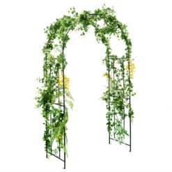 Patio Plant Stand Rack Archway with Metal Heavy-Duty for Climbing Plants-Black