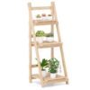 Foldable Ladder Storage Shelf for Potted Plants
