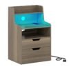 LED Nightstand with Charging Station 2-Drawer Bedside Table with Open Shelf-Grey