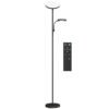 HOMCOM LED Floor Lamp for Living Room, Stepless Dimmable Standing Lamp, Mother and Child Uplighter with Reading Light, 4 Scene Modes, 2700K-6500K Colour Temps, 4 Brightness Levels, Remote Control