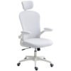 Vinsetto Multi-Adjustable Office Chair, with Lumbar Support, Headrest and Mesh Back - White