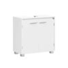 Under Sink Bathroom Cabinet 2 Compartments 30 x 60 x 60 cm Cloud White