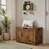 Storage Chest, Entryway Shoe Storage Bench with 2 Safety Hinges