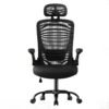 Home Office Mesh Chair, Ergonomic Swivel Chair with Lumbar and Head Support