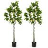 160cm Tall Set of 2 Fake Lemon Plant with Lemon Fruits and Cement Pot