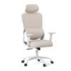 Ergonomic Office Chair with Headrest High Back Desk Chair-White
