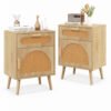 Rattan Nightstand Set of 2 Boho Bedside Table with Rattan-decorated Door
