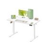 120 x 60 cm Electric standing desk with adjustable height and reminder Cloud White