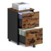 Cabinet with 2 Drawers Office Cabinet on Wheels Rustic Brown and Black