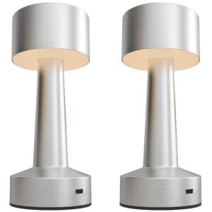 2 Pack Cordless Table Lamp, Touch LED Desk Lamp with Rechargeable Battery, 3 Colour, for Bedroom Living Room, Silver