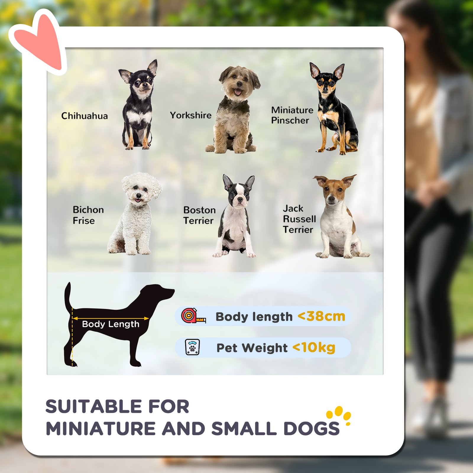 PawHut Pet Stroller for Small and Miniature Dogs, with Rain Cover - Green - Image 4