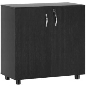 Vinsetto Two-Tier Locking Office Storage Cabinet - Black