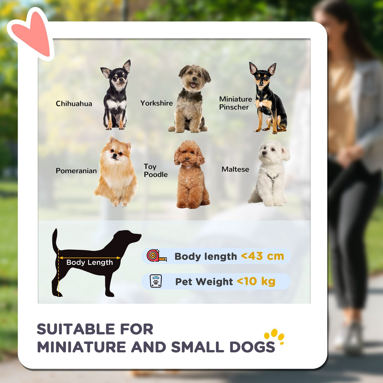 PawHut Foldable Pet stroller, Dog Buggy with Three Wheels, for Small/Medium Dogs, Grey - Image 4