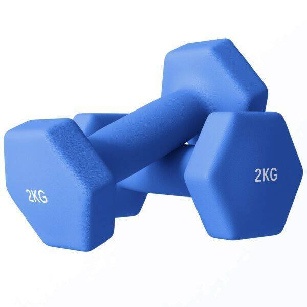 SPORTNOW 2 x 2kg Hexagonal Dumbbells Weights Set with Non-Slip Grip for Home Gym Workout, Blue SPORTNOW 2 x 2kg Hexagonal Dumbbells Weights Set with Non-Slip Grip for Home Gym Workout, Blue